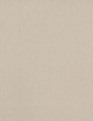 Bazzill Card Shoppe - 8.5x11 Cardstock - 100#  - Alpaca