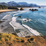 Reminisce The Great Northwest Oregon Coastline Patterned Paper