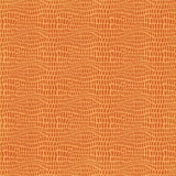 Photoplay Paper A Day At The Zoo Zootastic Patterned Paper