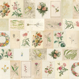 Simple Stories Simple Vintage Junk Drawer All The Possibilities 12x12 Patterned Paper