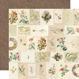 Simple Stories Simple Vintage Junk Drawer All The Possibilities 12x12 Patterned Paper