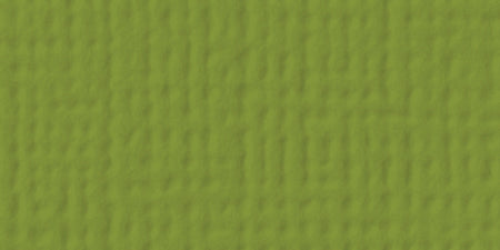 American Crafts 80lb Textured Cardstock 12"X12" - Leaf