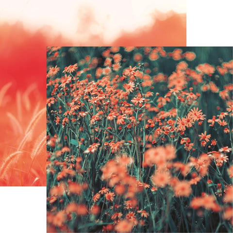 Reminisce Coral Crush Coral Countryside Patterned Paper