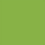 My Colors by PhotoPlay Paper 80lb Classic Smooth Cardstock 12"x12" - Bonsai
