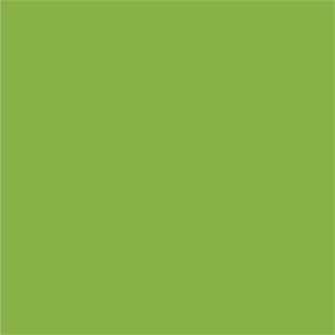 My Colors by PhotoPlay Paper 80lb Classic Smooth Cardstock 12"x12" - Bonsai