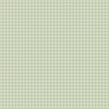 Echo Park Pastel Gingham Sage Gingham 12x12 Patterned Paper