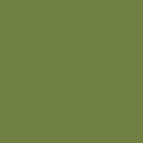 Carta Bella 80lb Printed Solid Cardstock 12"X12" - Green