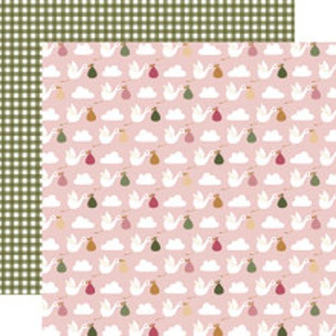 Echo Park Special Delivery:  Baby Girl Stork Delivery Day Patterned Paper