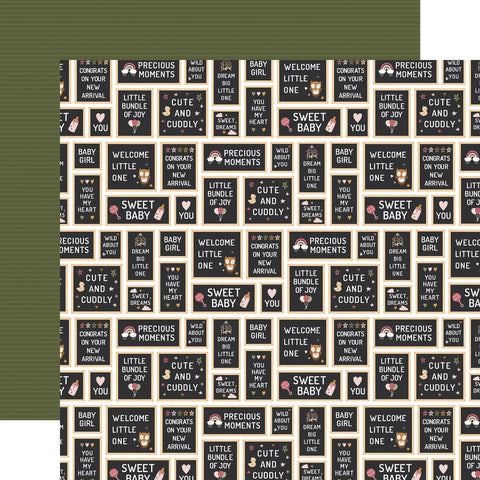 Echo Park Special Delivery:  Baby Girl - Baby Girl Signs Patterned Paper