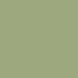 Carta Bella 80lb Printed Solid Cardstock 12"X12" - Olive