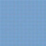 Echo Park Gingham Bold Sea Gingham 12x12 Patterned Paper