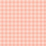 Echo Park Pastel Gingham Salmon Gingham 12x12 Patterned Paper