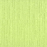 Bazzill Canvas Texture Cardstock Mono - 12x12 - Adhesive Backed - Limeade