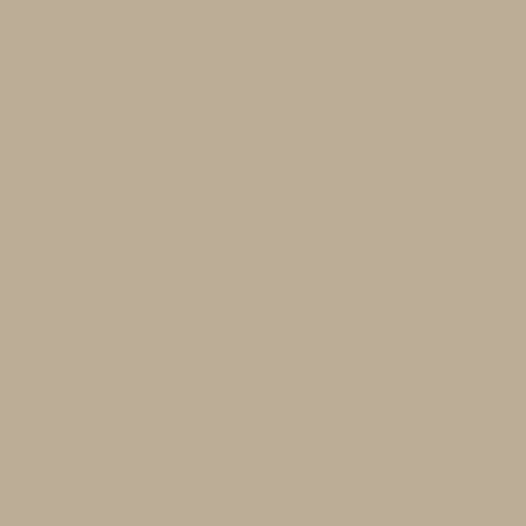 Carta Bella 80lb Printed Solid Cardstock 12"X12" - Tan