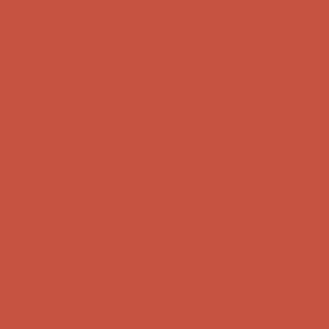 Carta Bella 80lb Printed Solid Cardstock 12"X12" - Dusty Red