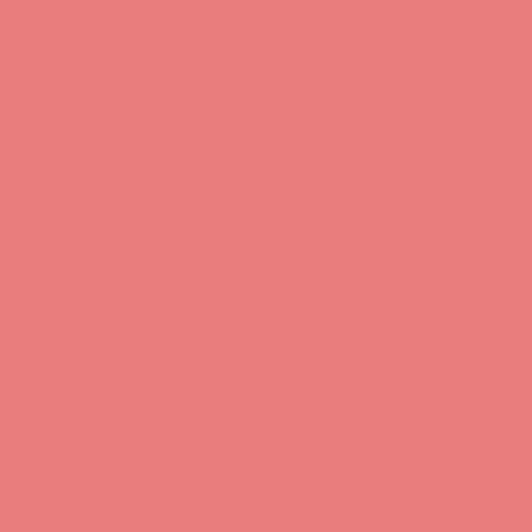 Carta Bella 80lb Printed Solid Cardstock 12"X12" - Coral