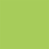 My Colors by PhotoPlay Paper 80lb Classic Smooth Cardstock 12"x12" - Kiwi