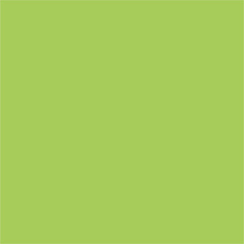 My Colors by PhotoPlay Paper 80lb Classic Smooth Cardstock 12"x12" - Kiwi