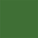 My Colors by PhotoPlay Paper 80lb Classic Smooth Cardstock 12"x12" - Holiday Green