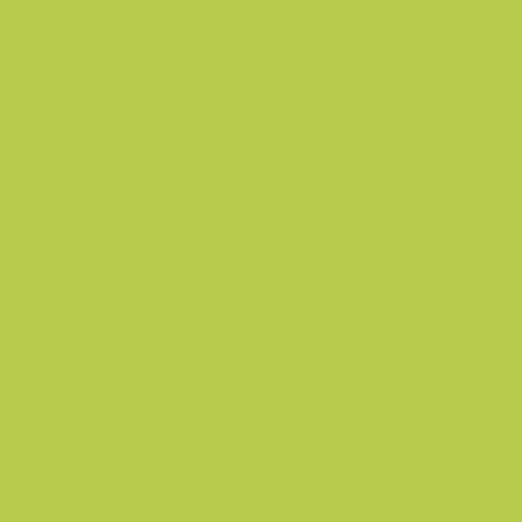 Carta Bella 80lb Printed Solid Cardstock 12"X12" - Lime Green