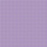Echo Park Gingham Bold Purple Gingham 12x12 Patterned Paper
