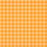 Echo Park Gingham Bold Tangerine Gingham 12x12 Patterned Paper