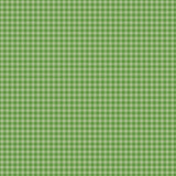 Echo Park Gingham Bold Leaf Green Gingham 12x12 Patterned Paper