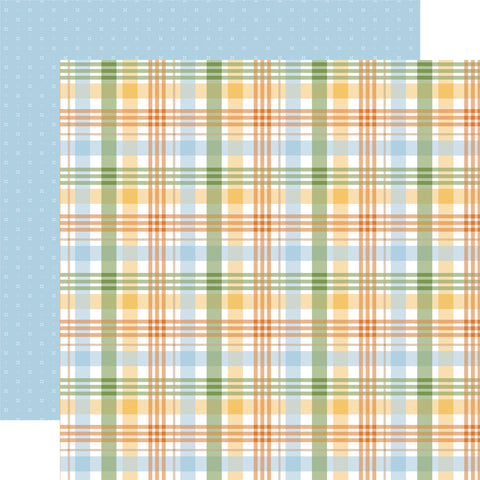 Echo Park Winnie the Pooh Baby Peek A Boo Plaid 12x12 Patterned Paper