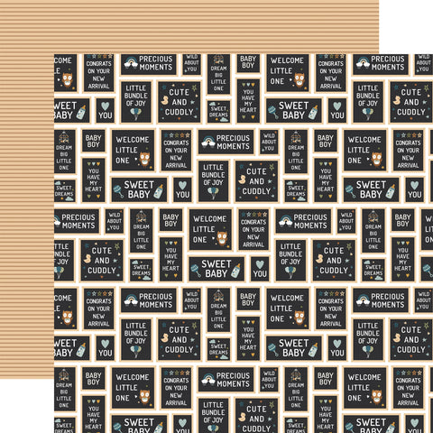 Echo Park Special Delivery: Baby Boy - Baby Boy Signs Patterned Paper