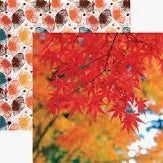 Reminisce Simply Hello Autumn Patterned Paper