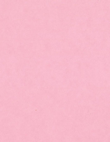 Bazzill Card Shoppe - 8.5x11 Cardstock - 100#  - Cotton Candy