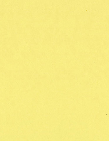 Bazzill Card Shoppe - 8.5x11 Cardstock - 100#  - Sour Lemon