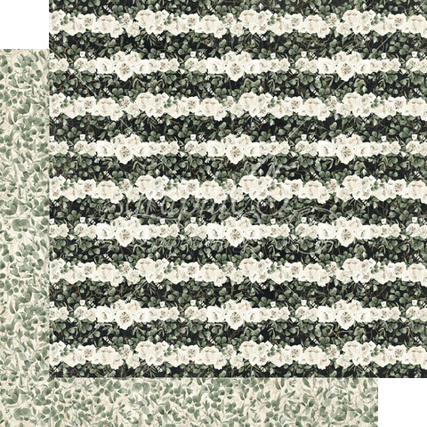 Graphic 45 P.S. I Love You Hello Darling Patterned Paper