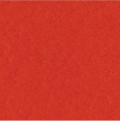 My Colors 12x12 Canvas Cardstock - Harvest Orange