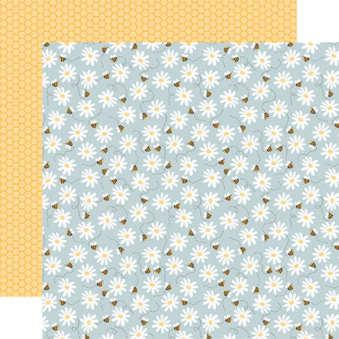 Echo Park Bee Happy Life Is Sweet Patterned Paper