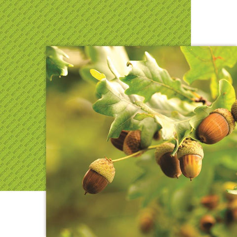 Reminisce Brothers Little Acorns Patterned Paper