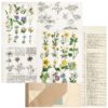 49 and Market Curators Botanical Pressed Petals Patterned Paper
