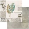49 and Market Curators Botanical Garden Clippings Patterned Paper