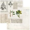 49 and Market Curators Botanical Florigelia Patterned Paper