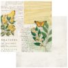 49 and Market Curators Botanical Natural History Patterned Paper