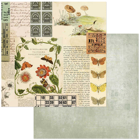 49 and Market Curators Meadow Nature's Clippings Patterned Paper