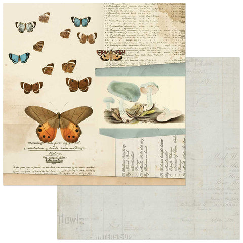 49 and Market Curators Meadow Papillon Patterned Paper