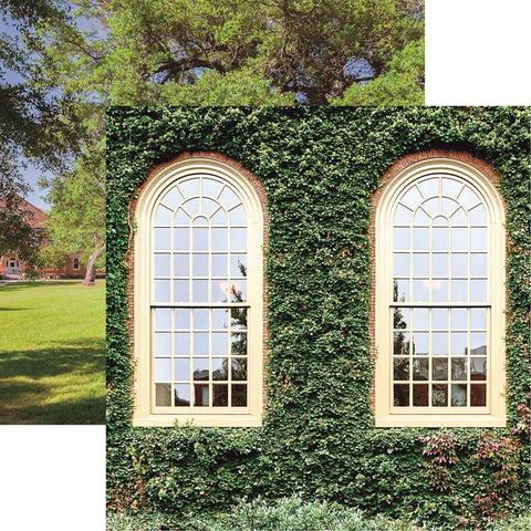 Reminisce College Life Ivy Patterned Paper