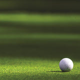 Reminisce Golf Mini-Golf Patterned Paper