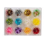 Buttons Galore Half Pearlz 12 Assorted Colors