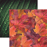 Reminisce Nature's Beauty Nature's Beauty 1 Patterned Paper