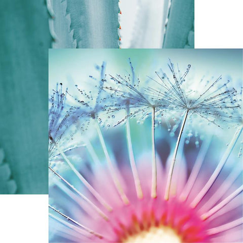 Reminisce Nature's Beauty Nature's Beauty 6 Patterned Paper