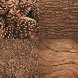 Reminisce Nature's Textures Earthy Browns Patterned Paper