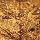 Reminisce Nature's Textures Hints of Copper Patterned Paper