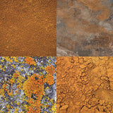 Reminisce Nature's Textures Hints of Copper Patterned Paper
